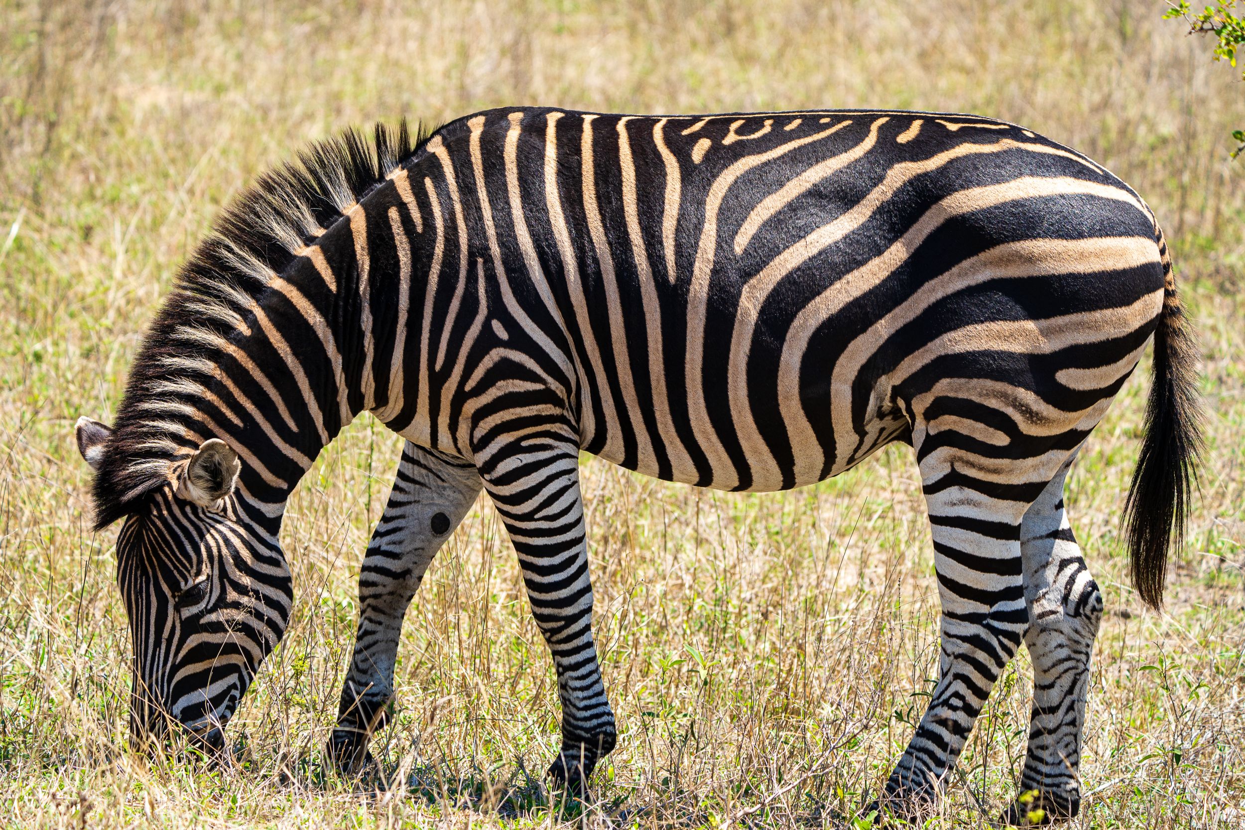 20231004 112246 Fotobuch Südafrika 04624
